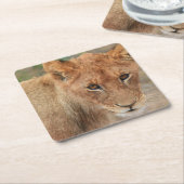 Löwe CUB Rechteckiger Pappuntersetzer (angewinkelt)