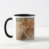 Löwe CUB Tasse (Links)