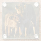 Löwe CUB u. Mutter Glasuntersetzer (Rückseite)