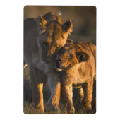 Löwe CUB u. Mutter Mini Klemmbrett (Rückseite)