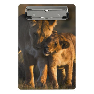 Löwe CUB u. Mutter Mini Klemmbrett
