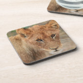 Löwe CUB Untersetzer (Linke Seite)