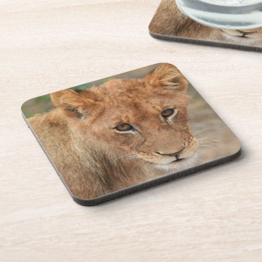 Löwe CUB Untersetzer (Linke Seite)