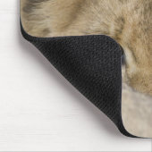 Löwe-CUBs Gesicht Mousepad (Ecke)