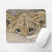 Löwe-CUBs Gesicht Mousepad (Mit Mouse)