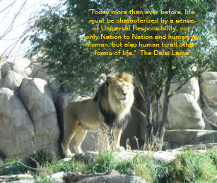 Get Dalai lama zitate tiere For iPhone Free