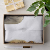 Löwe Dekorations Seidenpapier (Geschenk)