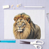 Löwe Dekorations Seidenpapier (Handwerk)