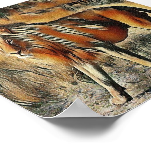 Löwe, der im Gebüsch spaziert Poster (Ecke)