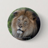 Löwe, der in einem Wald Lounging ist Button (Vorderseite)