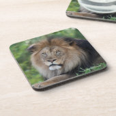 Löwe, der in einem Wald Lounging ist Getränkeuntersetzer (Linke Seite)