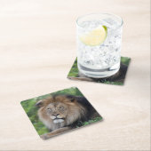 Löwe, der in einem Wald Lounging ist Rechteckiger Pappuntersetzer (Vor Ort)