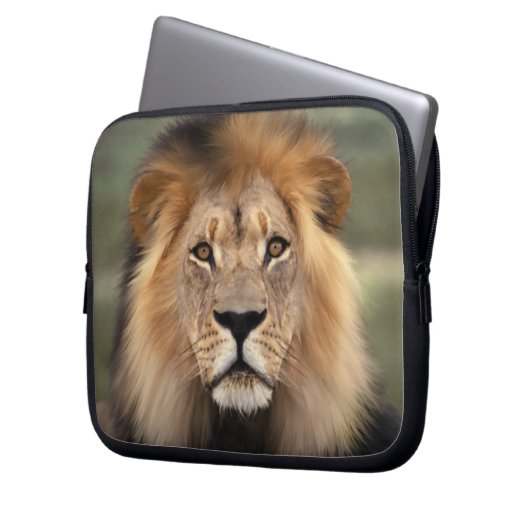 Löwe - der König des Dschungels Laptopschutzhülle (Vorderseite Links)