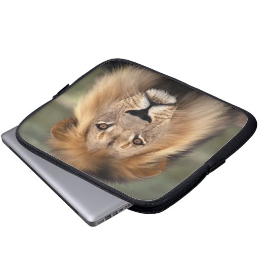 Löwe - der König des Dschungels Laptopschutzhülle (Vorne Knopf)
