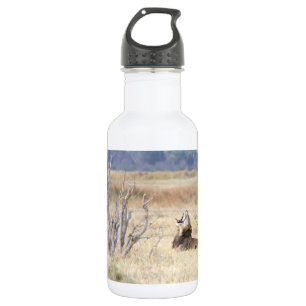 Löwe Edelstahlflasche