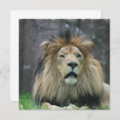 Löwe-Einladungen Einladung (Vorne/Hinten)