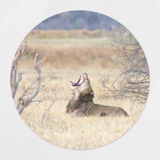 Löwe Etiketten (Design 2)