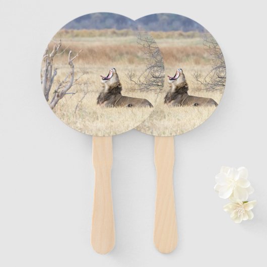 Löwe Fächer (Vorne und Hinten)