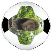 Löwe - Feldkönig - Fußballball Fußball (Gedreht)
