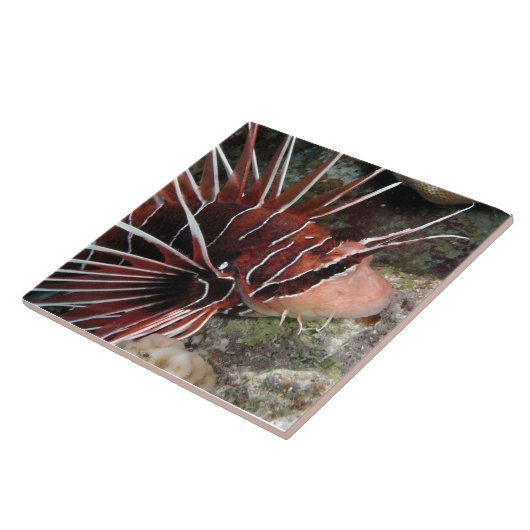 Löwe-Fisch-Fliese Fliese (Seite)