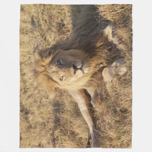 Löwe-Fleecedecke Fleecedecke (Vorderseite)