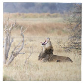 Löwe Fliese (Vorderseite)