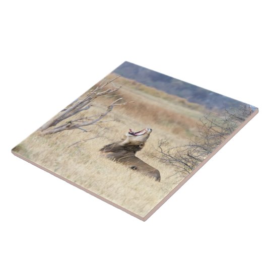 Löwe Fliese (Seite)