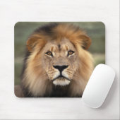 Löwe-Fotografie Mousepad (Mit Mouse)