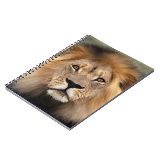 Löwe-Fotografie Notizblock (Linke Seite)