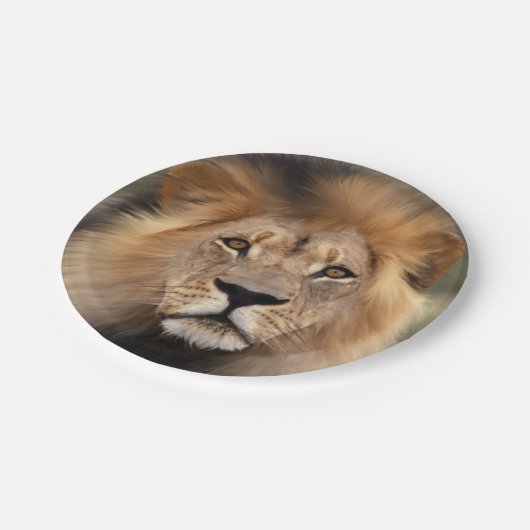 Löwe-Fotografie Pappteller (Schrägansicht)