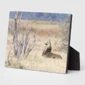 Löwe Fotoplatte (Seite)