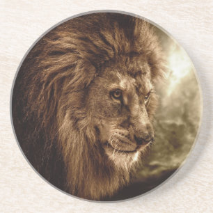Löwe gegen stürmischen Himmel Getränkeuntersetzer
