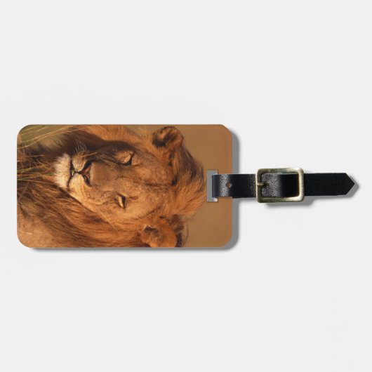 Löwe Gepäckanhänger (Vorderseite horizontal)