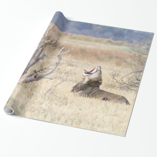 Löwe Geschenkpapier (Ungerollt)