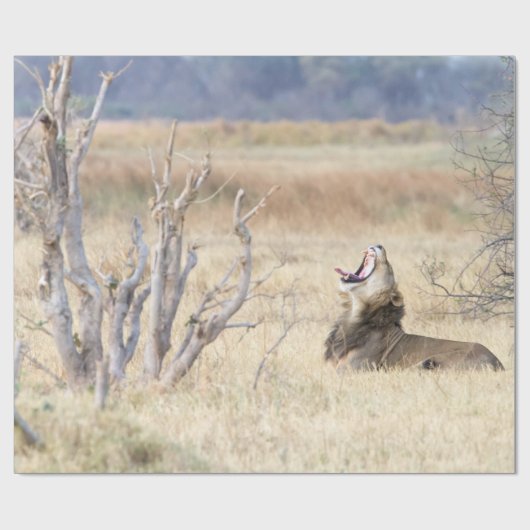 Löwe Geschenkpapier (Flach)