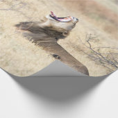 Löwe Geschenkpapier (Ecke)