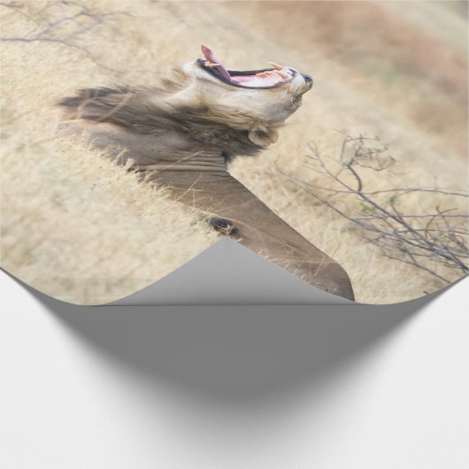 Löwe Geschenkpapier (Ecke)