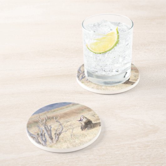 Löwe Getränkeuntersetzer (Seite)