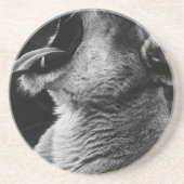 Löwe Getränkeuntersetzer (Vorne)