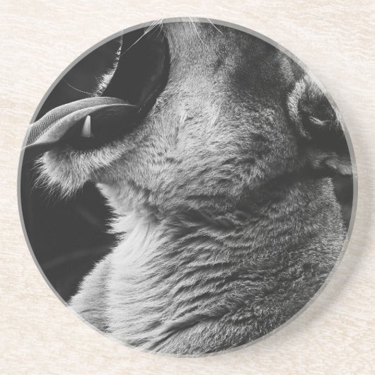 Löwe Getränkeuntersetzer (Vorne)