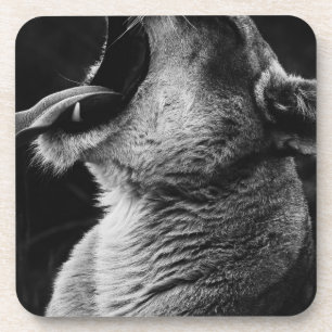 Löwe Getränkeuntersetzer