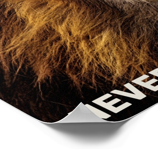 Löwe - Gib niemals auf Poster (Ecke)