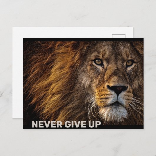 Löwe - Gib niemals auf Postkarte (Vorne/Hinten)