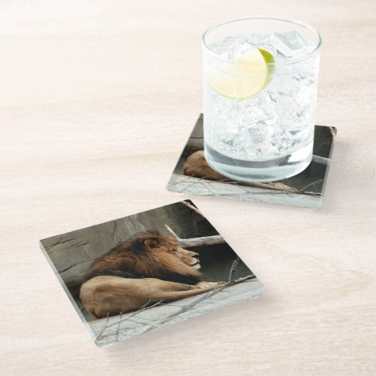 Löwe Glasuntersetzer (Schrägansicht)