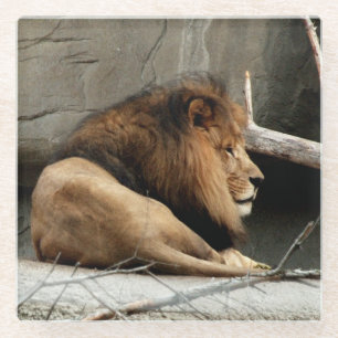 Löwe Glasuntersetzer