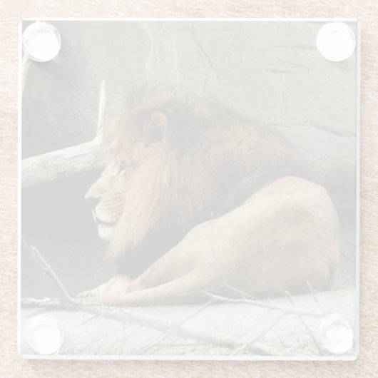 Löwe Glasuntersetzer (Rückseite)