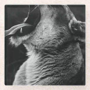 Löwe Glasuntersetzer