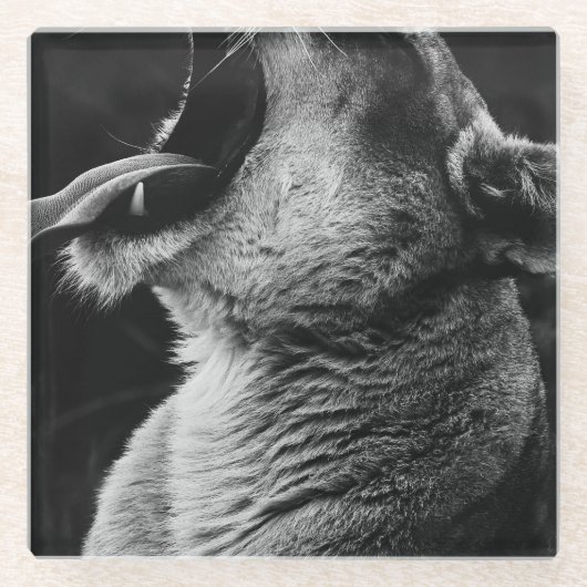 Löwe Glasuntersetzer (Vorderseite)