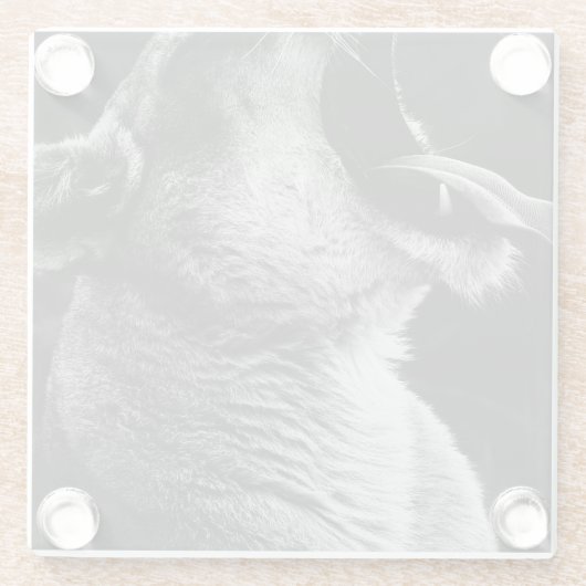 Löwe Glasuntersetzer (Rückseite)