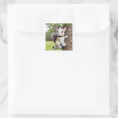 Löwe hinter der Baumklemme Quadratischer Aufkleber (Tasche)